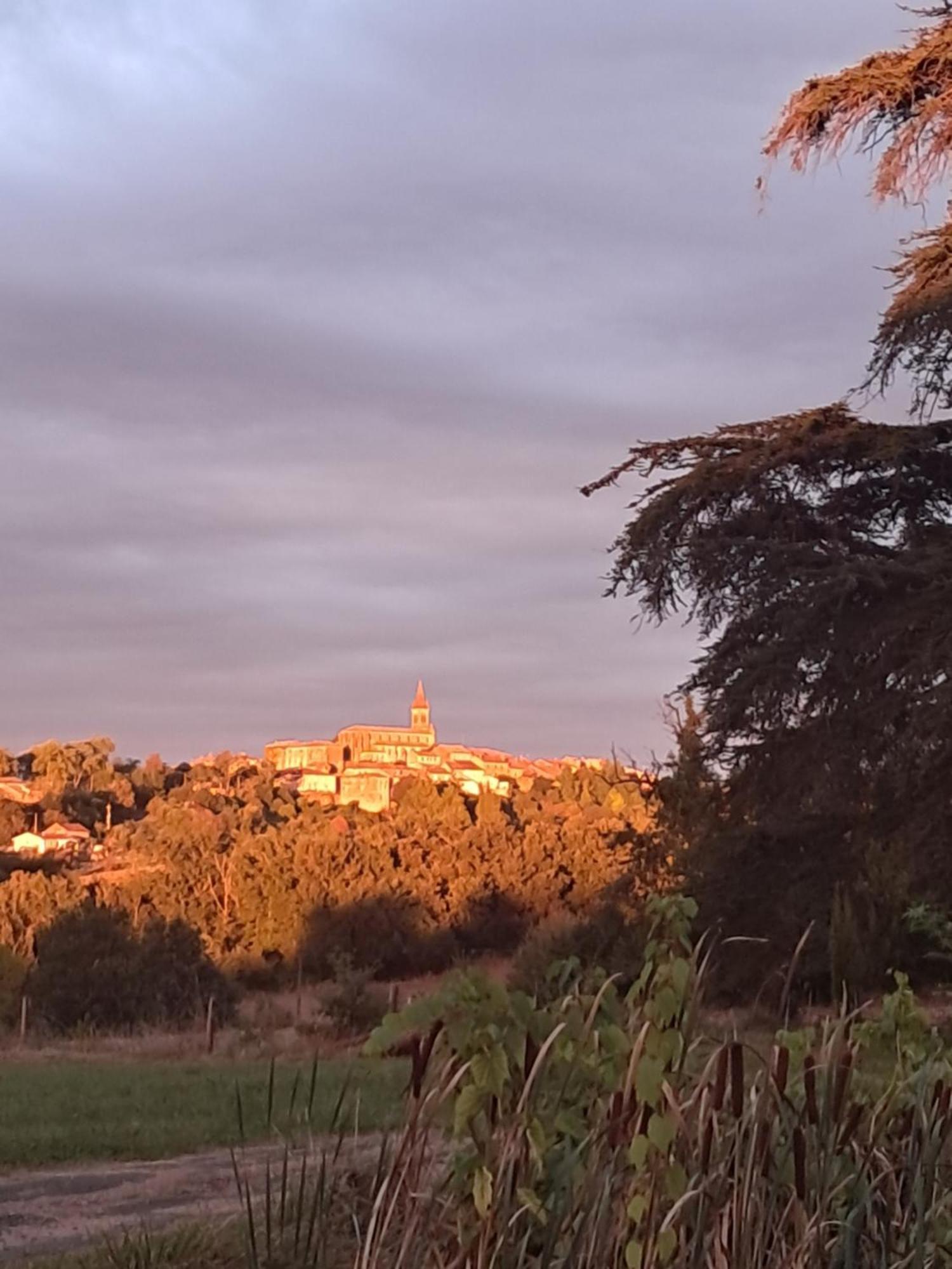 Salvagnac Aux Roses De Cedres Chambre Savane المظهر الخارجي الصورة